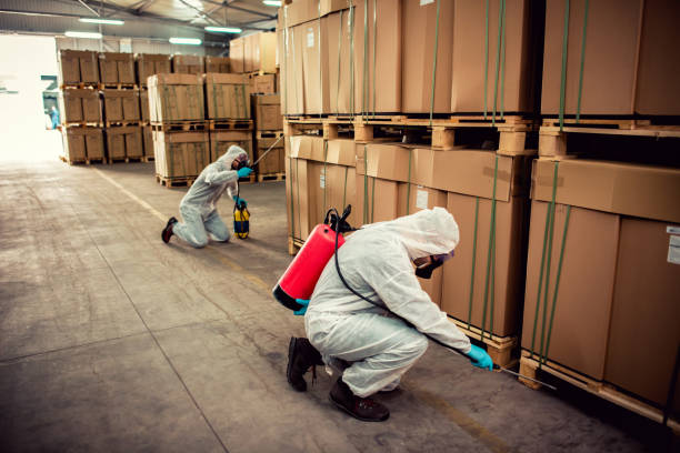Flea Control Services in Elko, NV