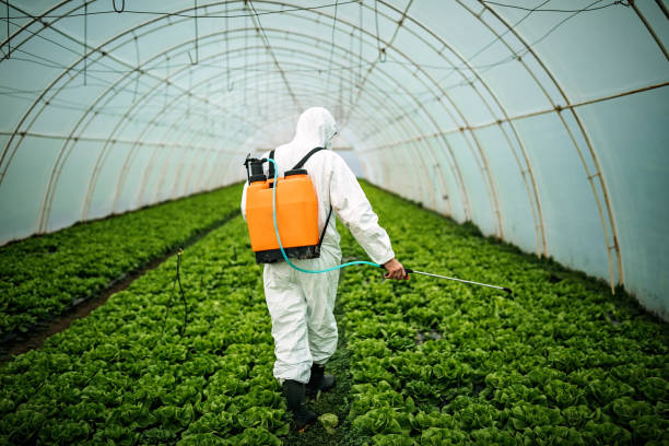 Best Mosquito Control Services  in Elko, NV